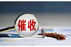 台儿庄台儿庄专业催债公司，专业催收